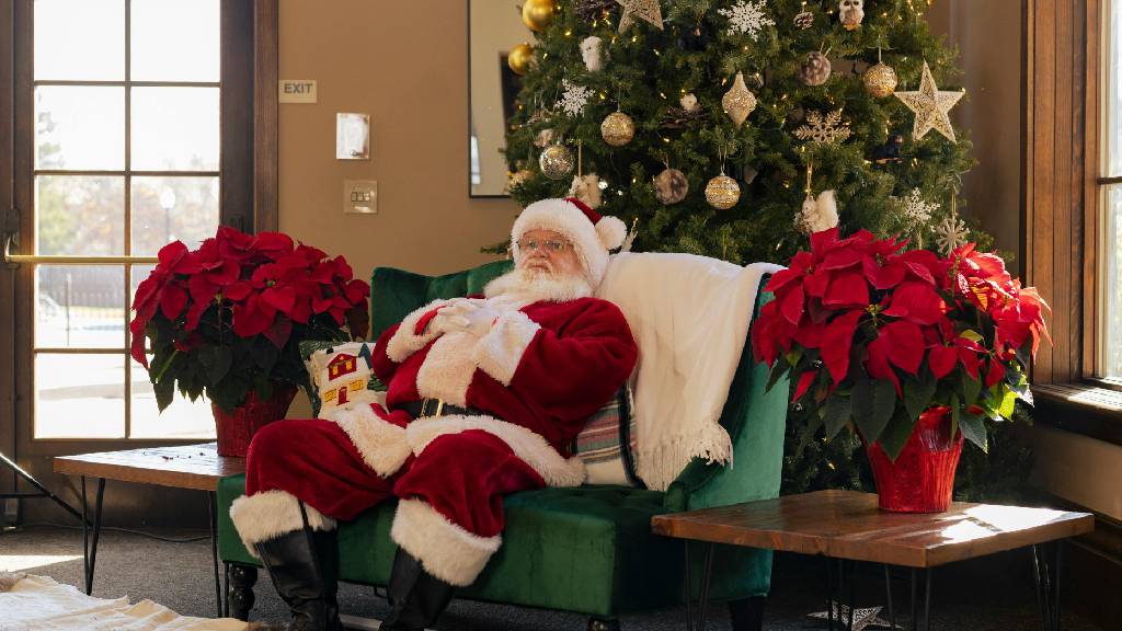 Kenapa Natal Identik dengan Warna Hijau dan Merah? Terinspirasi dari Tumbuhan 