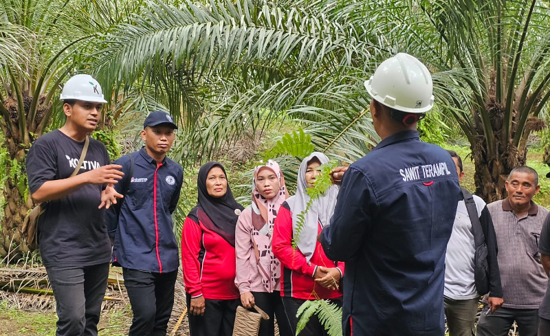Program Sawit Terampil Dukung Petani Swadaya Penuhi Standar Berkelanjutan 