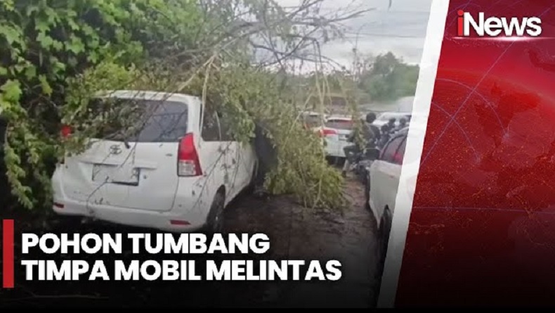 Pohon Tumbang di Ubud timpa Mobil Ditumpangi Wisatawan Sekeluarga Asal Australia