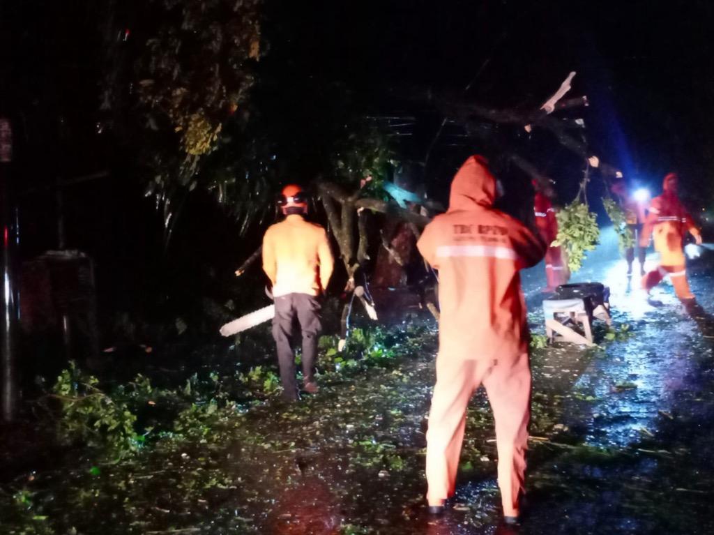 4 Pohon di Cileungsi Bogor Tumbang gegara Hujan Deras dan Angin Kencang   