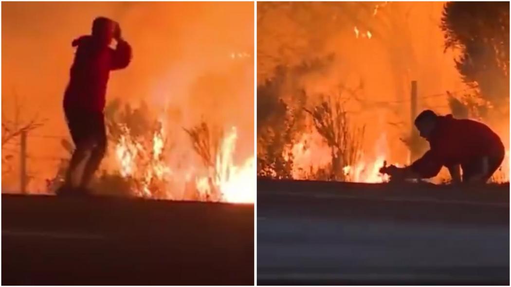 Viral Video Pria Selamatkan Kelinci dari Kebakaran Los Angeles, Ini Fakta Sebenarnya