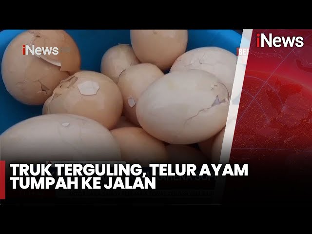 Warga Berebut Selamatkan Telur Ayam dari Truk Muatan yang Terguling