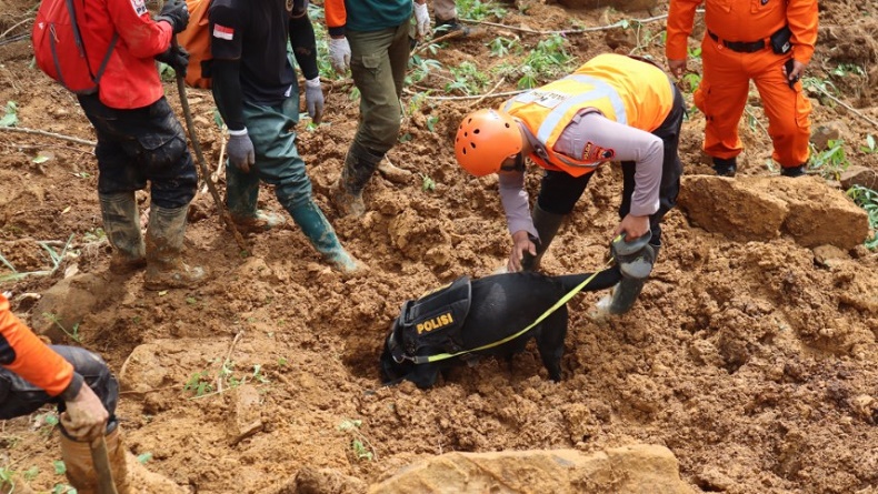 Update Korban Longsor Pekalongan, 25 Orang Tewas 1 Masih Hilang