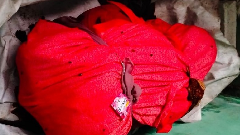 Polisi Tangkap Pembunuh Wanita yang Mayatnya Dibungkus Kain di Bantul