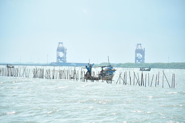 Kasus Pagar Laut Tangerang, Kades dan Sekdes Kohod Disidang Pekan Depan