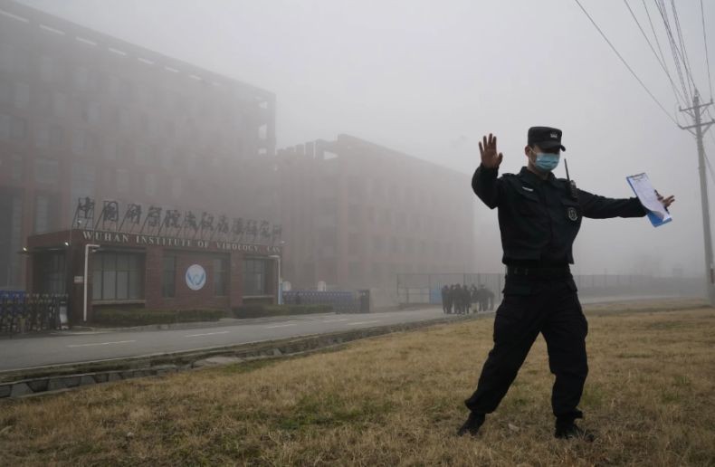 Ilmuwan Temukan Virus Corona Terbaru Bisa Menyebar seperti Covid-19, Berbahayakah?