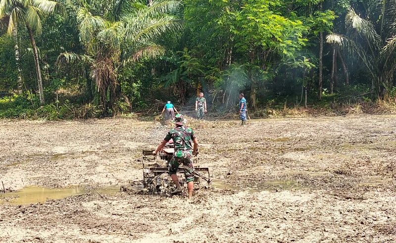 Satgas TMMD ke-123 Buka Lahan Ketahanan Pangan 2 Hektar di Desa Talusi