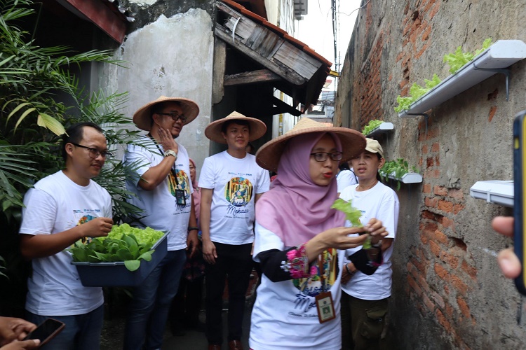Urban Farming Lorong Mekaar, Langkah PNM Wujudkan Asta Cita Ketahanan Pangan