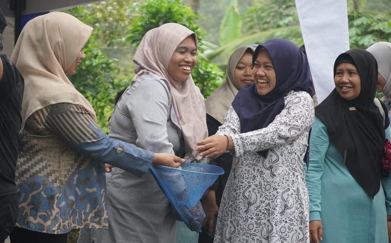 Rumah Pangan PNM, Solusi Ketahanan Pangan untuk Masyarakat Purwokerto