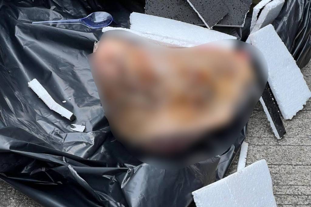 Kantor Tempo Dapat Kiriman Paket Berisi Kepala Babi 