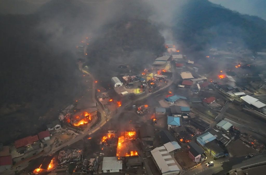 Dahsyatnya Kebakaran Hutan di Korsel Tewaskan 22 Orang, Mayat Ditemukan di Jalanan