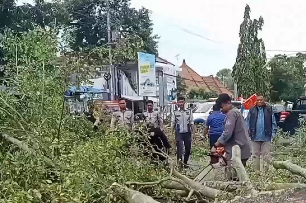 Update Tragedi Pohon Tumbang saat Salat Id di Pemalang: 2 Meninggal 17 Dilarikan ke RS