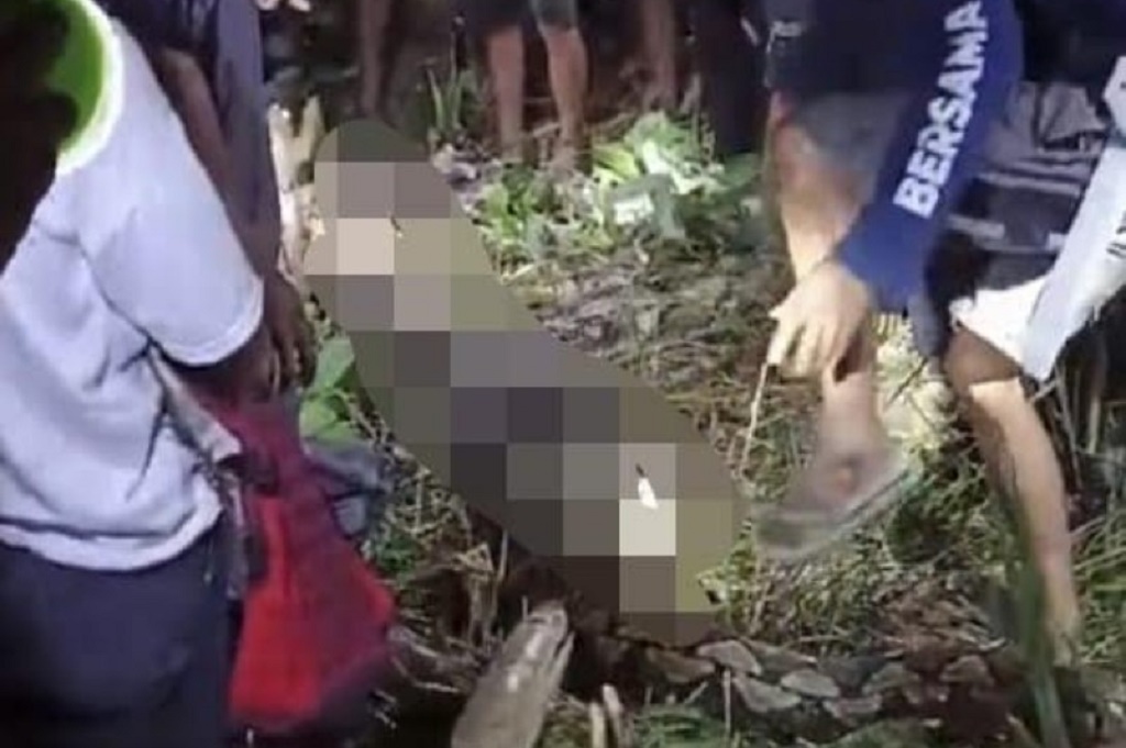 Ngeri! Nenek di Sidrap Ditemukan dalam Perut Ular Piton 8 Meter saat Dibelah