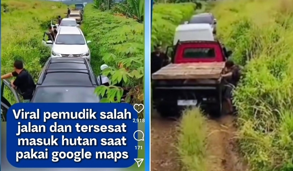 Viral Puluhan Mobil Pemudik Tersesat ke Hutan Gegara Ikuti Google Maps, Netizen: Nyasar Berjamaah