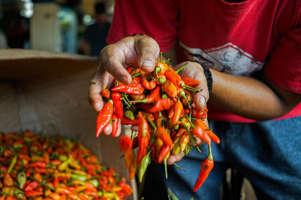 Harga Beras hingga Cabai Merah Turun Jelang Akhir Pekan, Ini Rinciannya