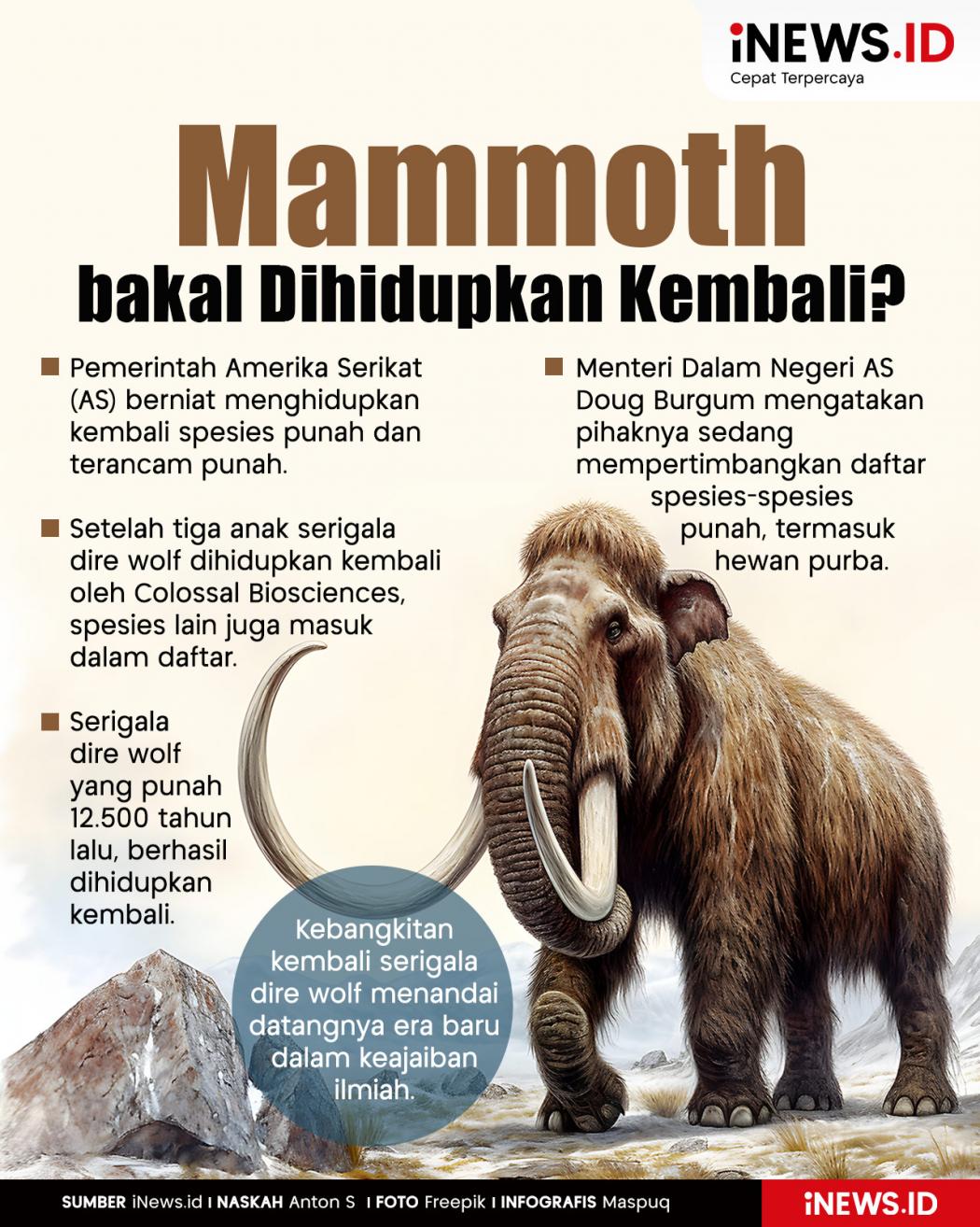 Infografis Setelah Serigala Dire Wolf, Mammoth bakal Dihidupkan Kembali?