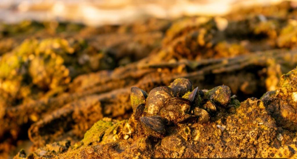 Wow! China Temukan Cadangan Emas Terbesar di Dunia Bernilai Rp1.377 Triliun