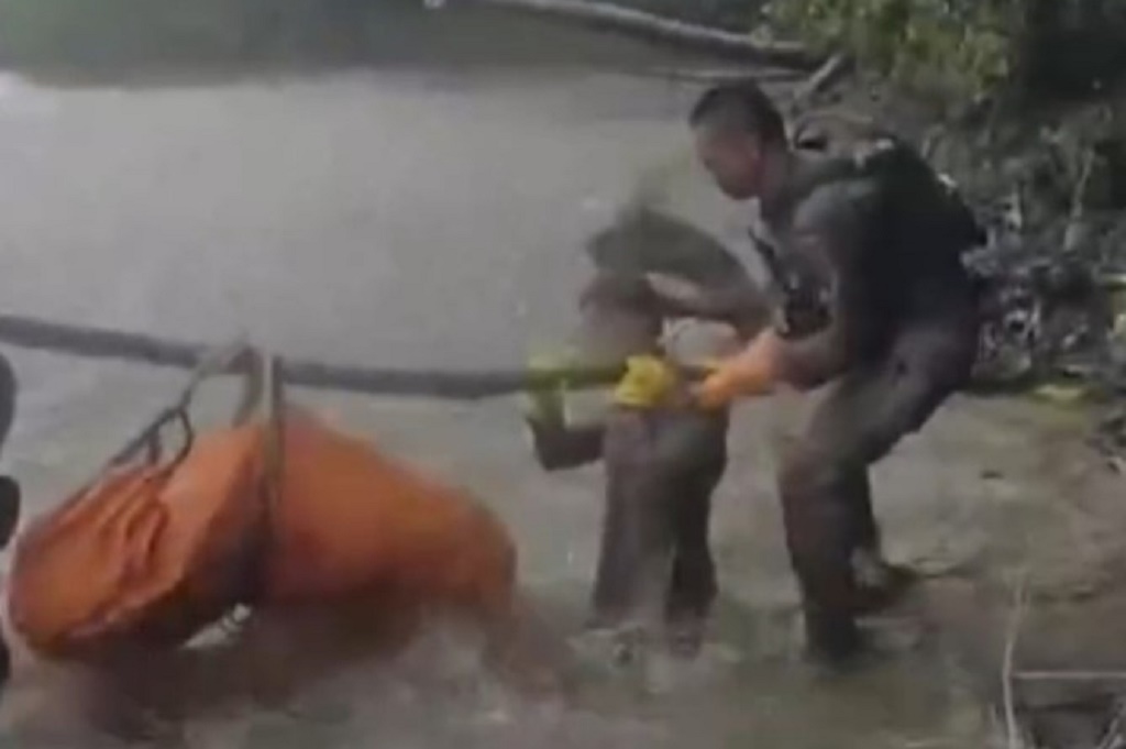 Viral Aksi Satgas Damai Cartenz Evakuasi Korban Pembantaian KKB, Tempuh Jalur Ekstrem