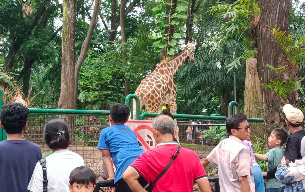 Libur Paskah, Pengunjung Taman Margasatwa Ragunan Nyaris Tembus 20.00 Orang 
