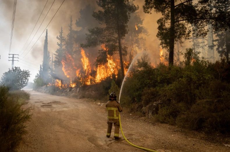 Israel Panik Dilanda Kebakaran Hutan Dahsyat, Ribuan Penduduk di Beberapa Kota Dievakuasi