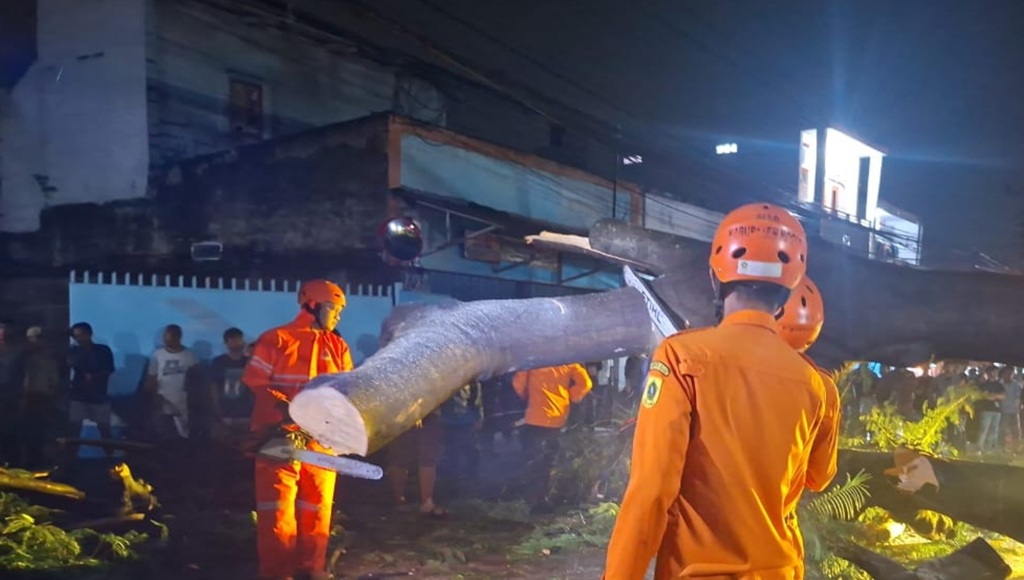 Pohon Tumbang di Gunung Putri Bogor, 3 Orang Terluka
