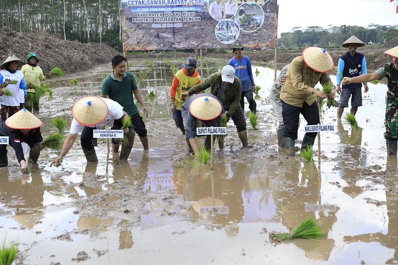 Tanam Perdana di Kalteng, Kementan Percepat Langkah Menuju Swasembada Pangan