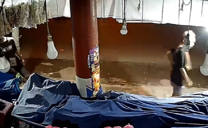 Detik-Detik Pencuri Berkedok Suporter Persebaya Curi Buah di Dekat Stadion Brawijaya