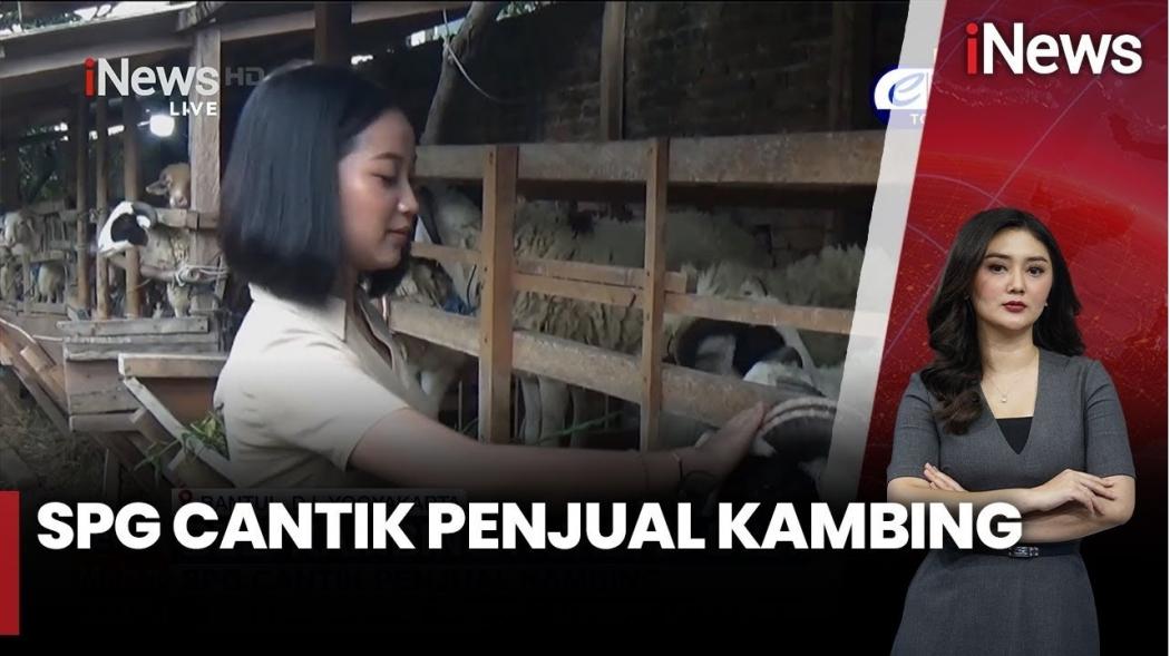 Kehadiran SPG Cantik Ramaikan Penjualan Daging Kurban