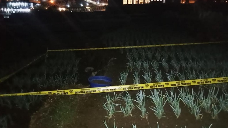 Cangkul Kebun, Petani di Ciwidey Bandung Dikejutkan Temuan Mortir Aktif