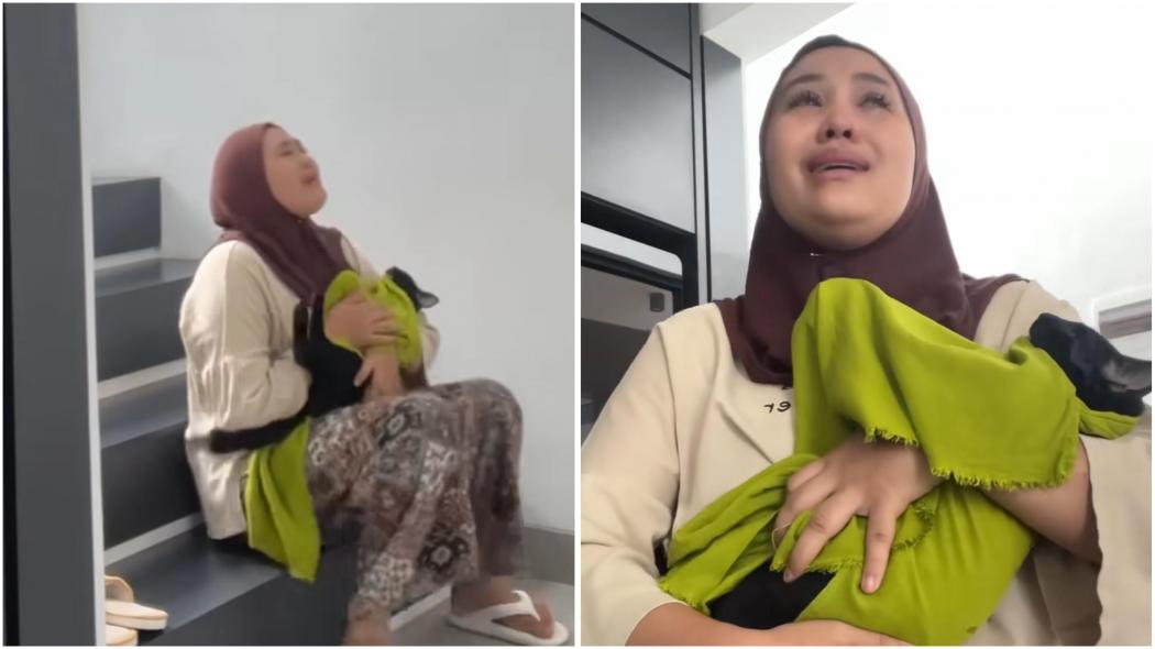 Cat Lover Berduka, Kucing Cici Chania Meninggal