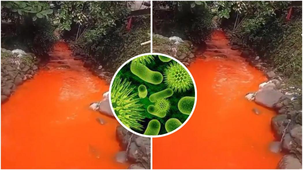 Viral Air Sungai di Citeureup Berubah Jadi Oranye, Ahli Kesehatan: Berpotensi Kanker!