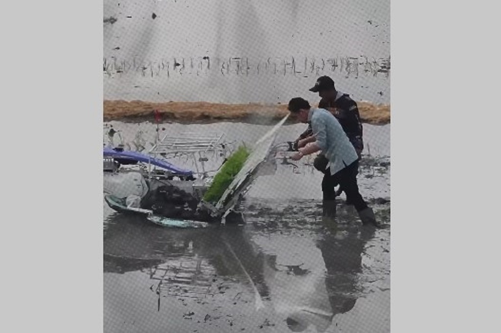 Viral Momen Gibran Turun ke Sawah Tanam Padi di Ngawi, Cara Jalannya Jadi Sorotan