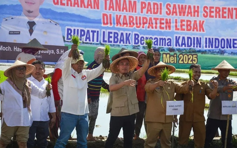 Wujudkan Ketahanan Pangan, Sekjen Partai Perindo Apresiasi Gerakan Tanam Padi Sawah Serentak di Lebak