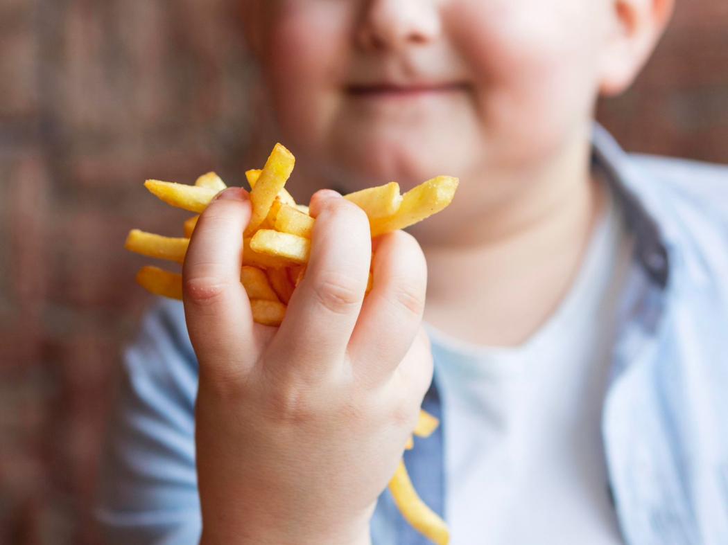 Gen Alpha Indonesia Terancam Obesitas Sentral, Ini Fakta! 