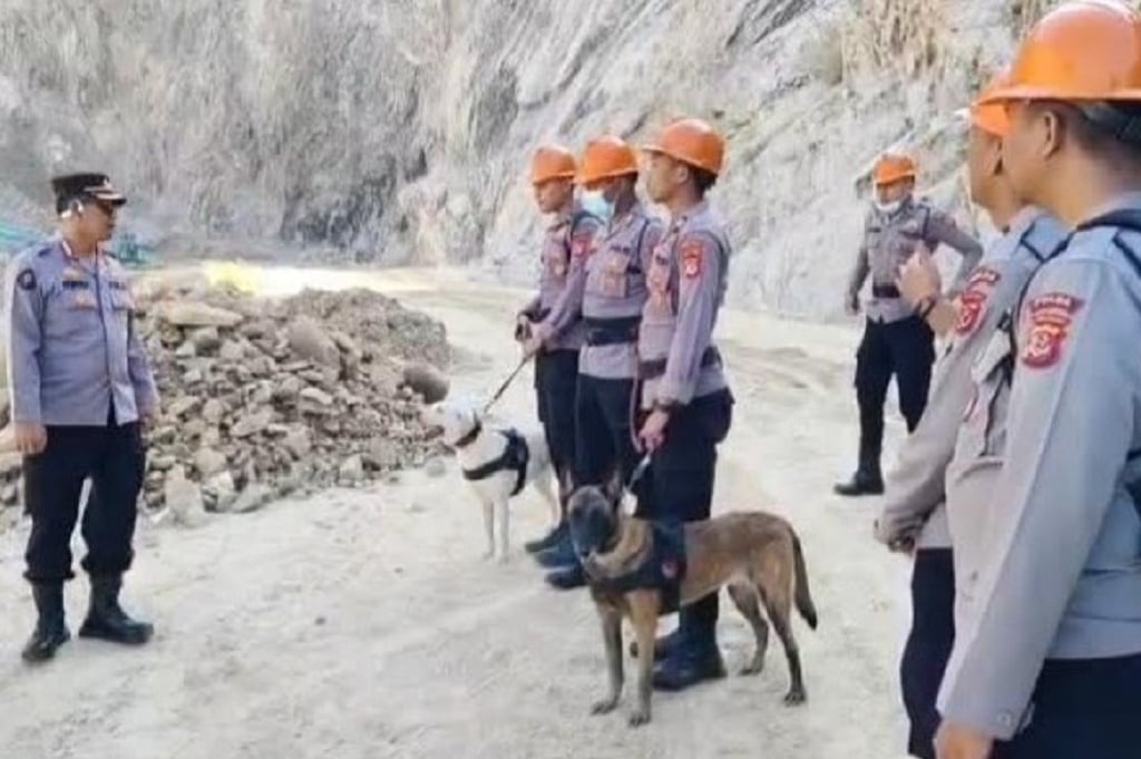 Anjing Pelacak Dikerahkan Cari Korban Longsor Tambang Gunung Kuda Cirebon