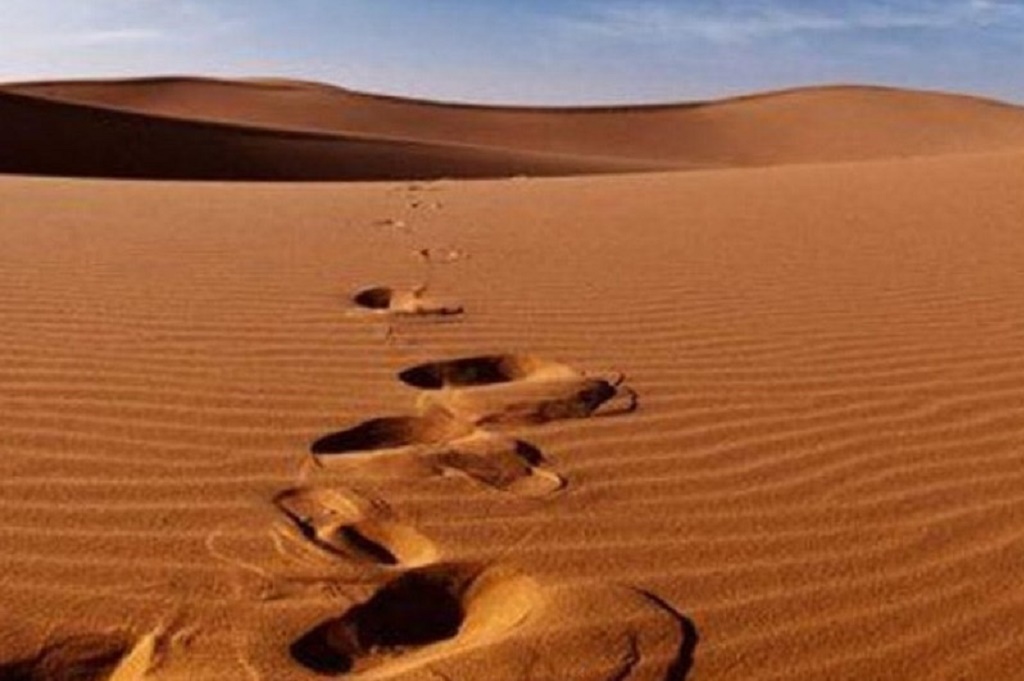 WNI asal Madura Tewas Dehidrasi di Makkah, Nekat Haji Ilegal Lewat Gurun