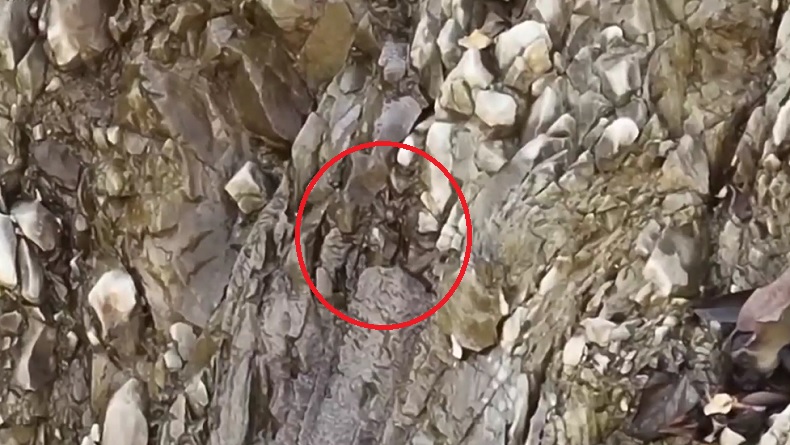 Pencarian Korban Longsor Cirebon Dihentikan, Ada Patahan dan Aliran Air dari Tebing 