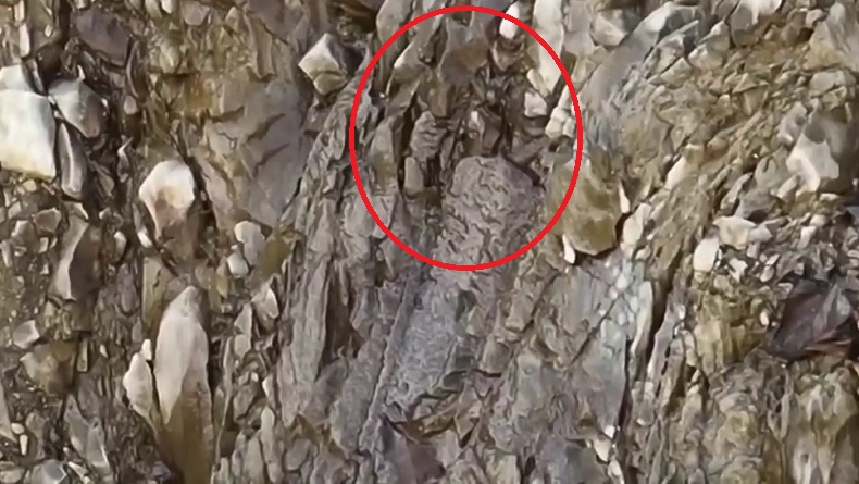 Penampakan Patahan dan Aliran Air di Tebing Gunung Kuda, Berisiko Longsor Susulan