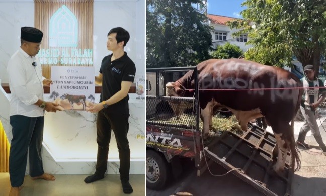 Heboh! Sapi Kurban Diberi Nama Supercar Lamborghini hingga Ferrari, Peternakan Serasa Garasi Sultan