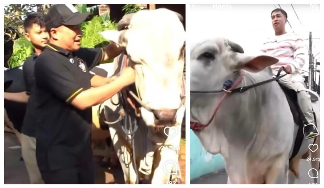 Momen Sedih Irfan Hakim Kurbankan Sapi Kesayangannya, Netizen Ikut Nangis