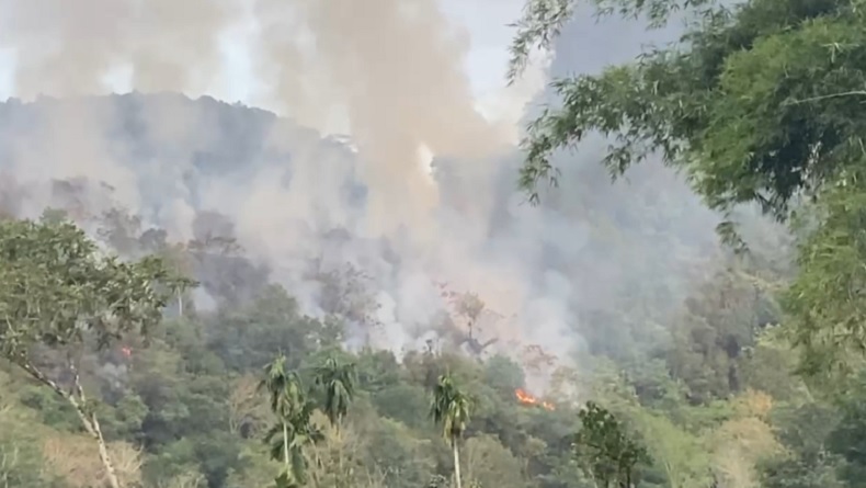 Kebakaran Hutan dan Lahan Meluas di Limapuluh Kota Sumbar, Petugas Berjibaku Padamkan Api