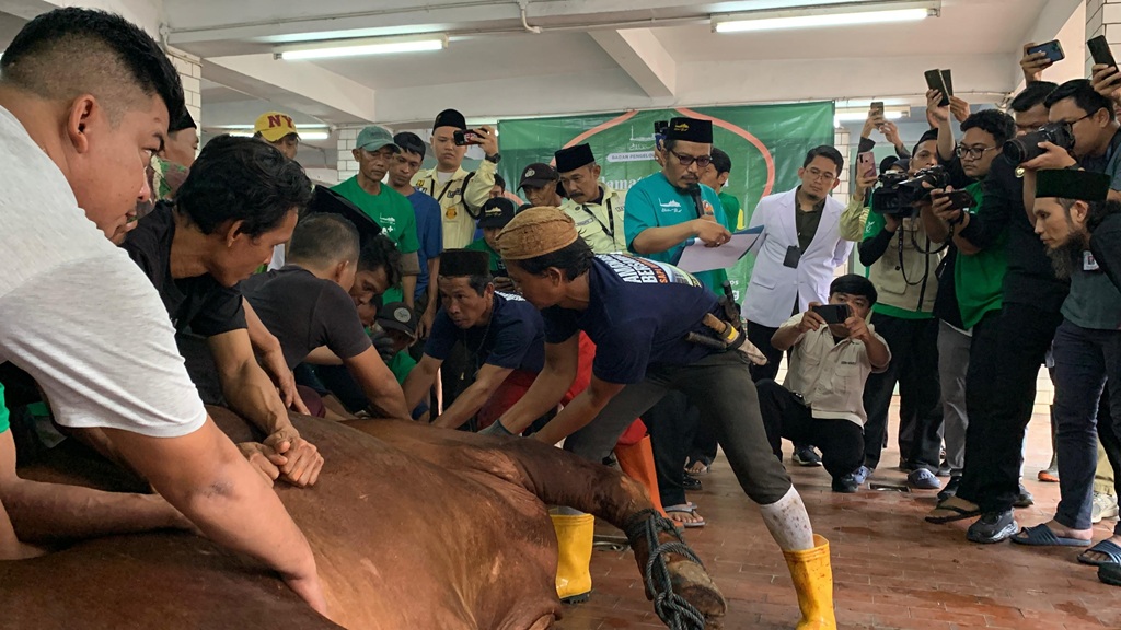 Tak Ada Kupon, Distribusi Daging Kurban di Masjid Istiqlal Lewat 200 Yayasan