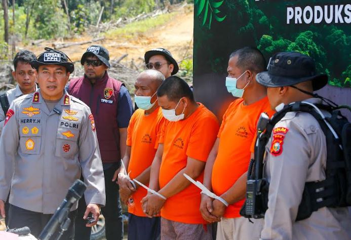 Polisi Tetapkan 4 Tersangka Perambahan Hutan Lindung di Riau, Terancam 10 Tahun Bui