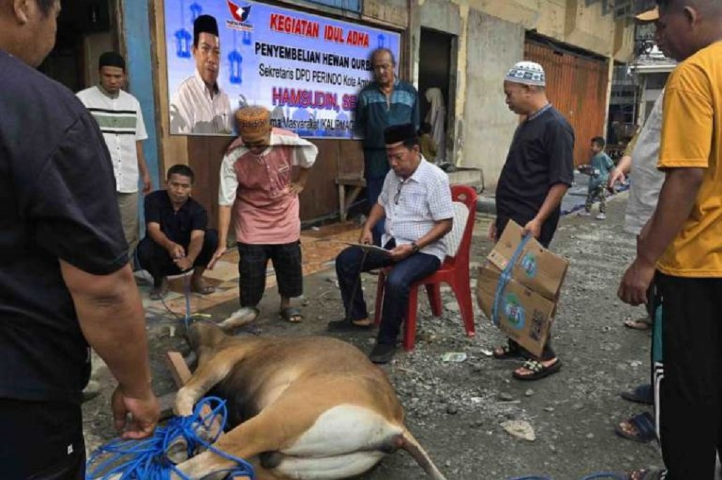 Legislator Partai Perindo Hamsudin Berkurban 6 Sapi di Iduladha, Semangat Berbagi dan Persaudaraan