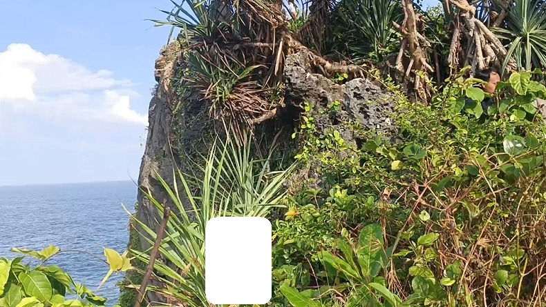 Kepala SMP Muhammadiyah Al Mujahidin Gunungkidul Ditemukan Tewas Tergantung di Tebing Pantai
