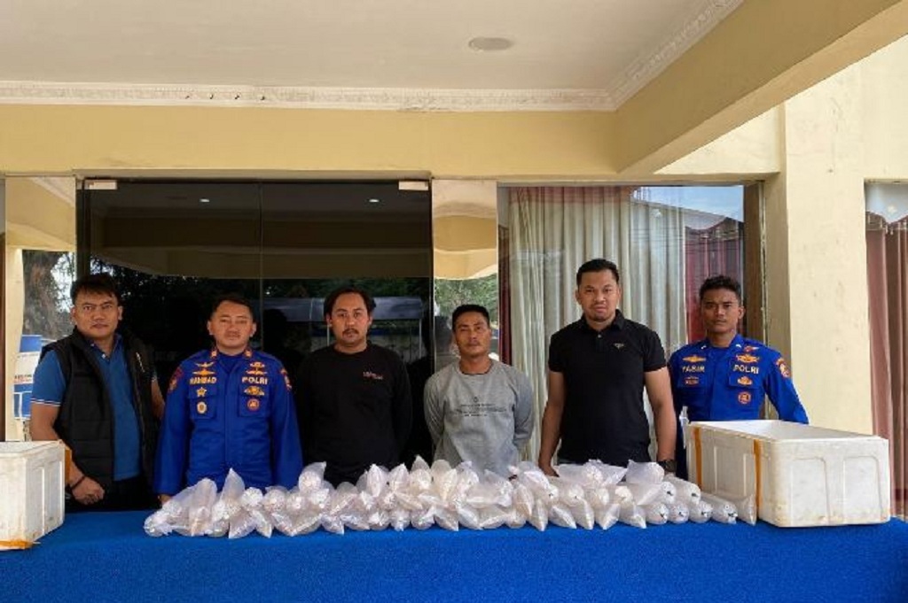 Polairud Gagalkan Penyelundupan 11.543 Benih Lobster di Sukabumi, 2 Orang Ditangkap