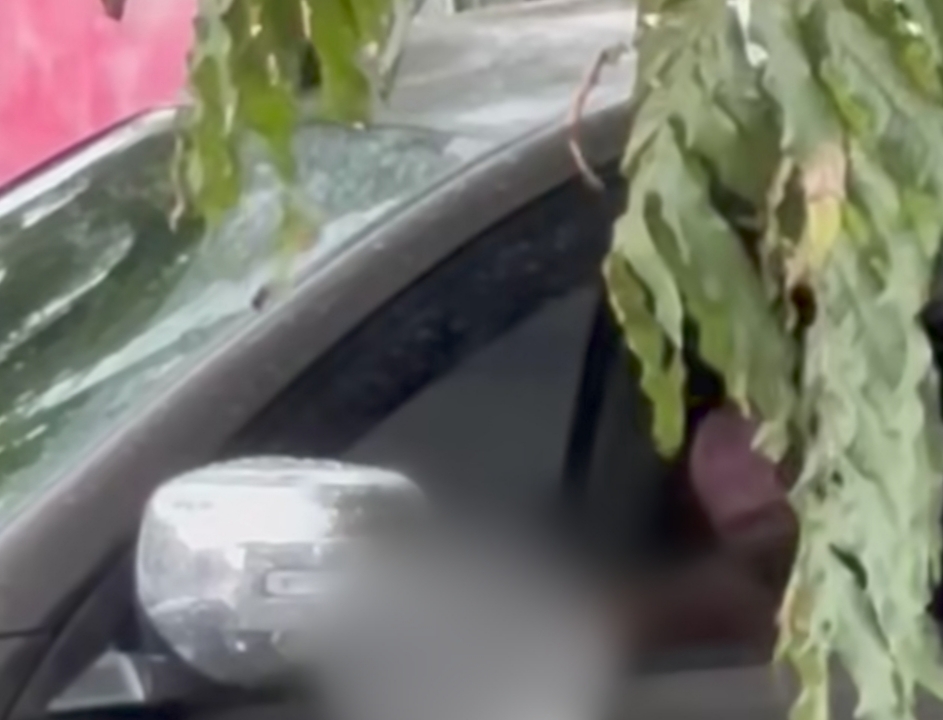 Viral Pria Pengemudi Pajero di Malang Pamer Alat Kelamin, Aksinya Terekam Warga