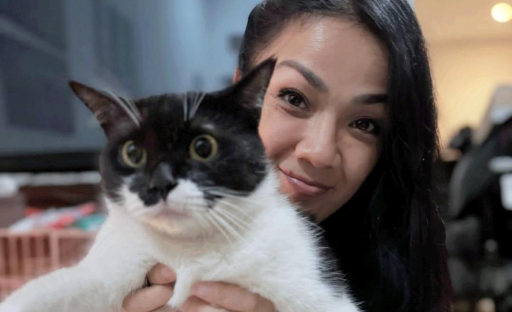 Heboh, Nirina Zubir Tinggal Bareng 24 Kucing di Rumah 
