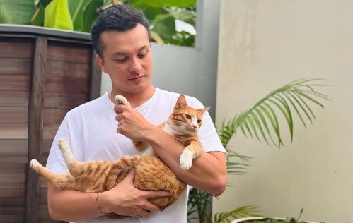 Viral Nicholas Saputra Gendong Kucing Oyen, Netizen Auto Gemas: Mas Aku Juga Mau