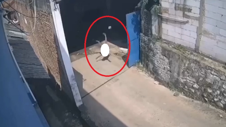 Detik-Detik Bocah di Bogor Terjatuh dari Atap Bangunan saat Asyik Main Layangan Terekam CCTV